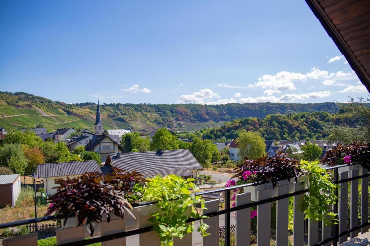 Ferienweingut Juergen Beth Apartment Krov Ngoại thất bức ảnh
